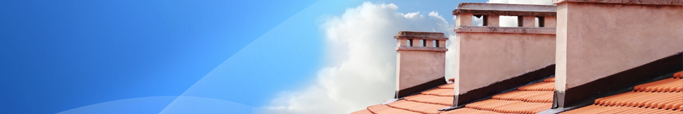 Banner - Heinz Ritters